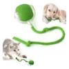 Juguete Pelota Interactiva Inteligente Para Mascotas