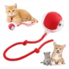 Juguete Pelota Interactiva Inteligente Para Mascotas
