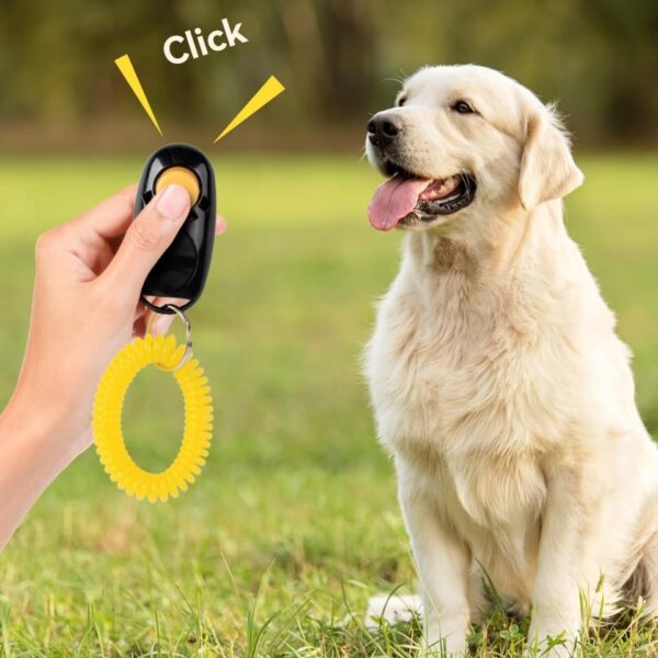 Clicker Adiestramiento Perros Gatos Plástico Correa