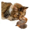 Juguete Interactivo Para Gatos Con Sonido De Pájaro Gorrión
