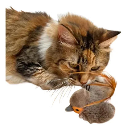 Juguete Interactivo Para Gatos Con Sonido De Pájaro Gorrión
