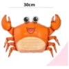 Pack Globo Animales Acuáticos del Mar Cumpleaños